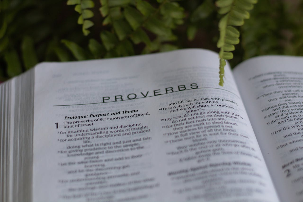 bible-proverbs Close up shot of the book of Proverbs